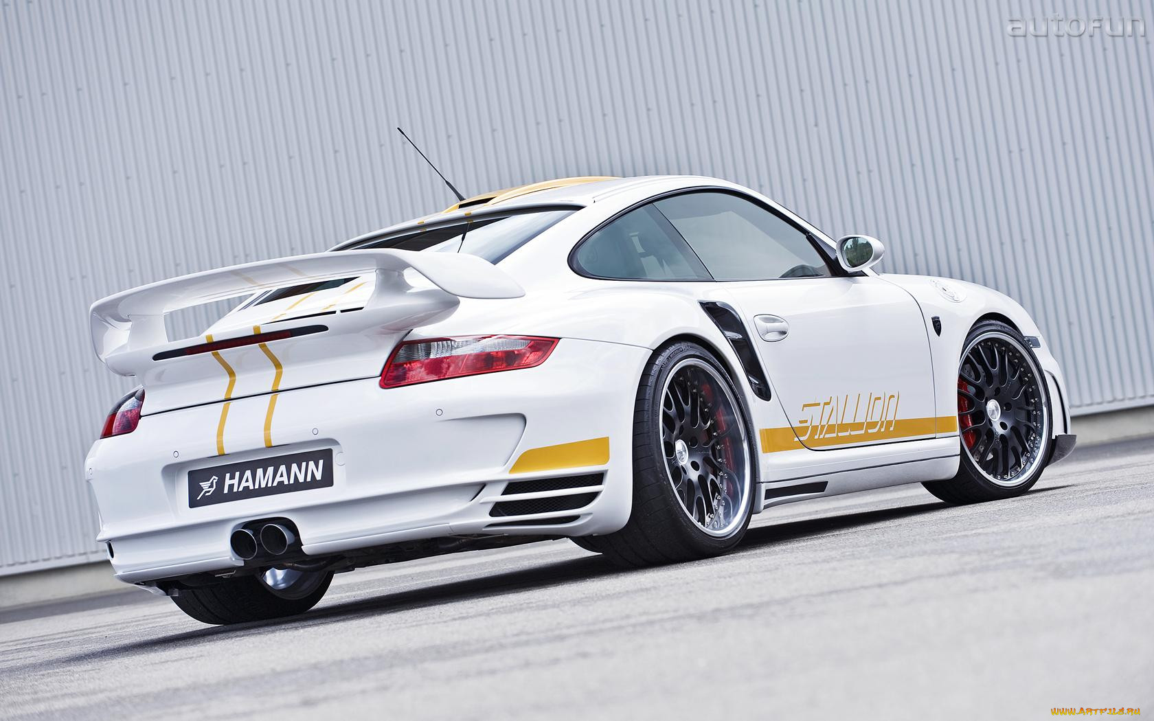 hamann, stallion, , porsche